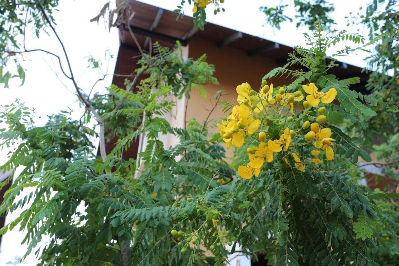 Lolu Village Resort Anuradhapura Luaran gambar
